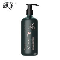 创漾(CHUANGYANG) CN3010 溪畔听风香氛洗发露 300ml(单位:瓶)