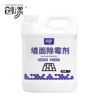 创漾CY1025墙面除霉剂5L