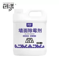 创漾CY1025墙面除霉剂5L