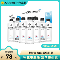 外星人电解质水电解质饮料荔枝海盐口味500mL