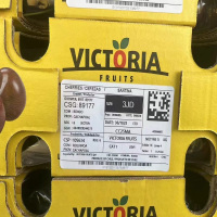 车厘子3JD 桑缇娜 原箱