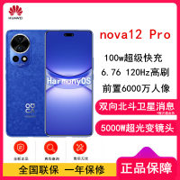 nova 12 Pro 256GB 12号色