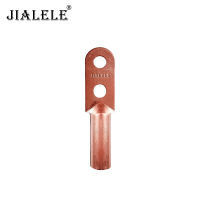 JIALELE 双孔铜鼻子 DTS-150/个