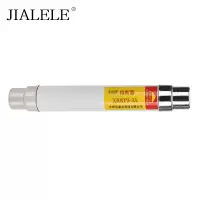 JIALELE 熔断器 XRNP3-3A 个