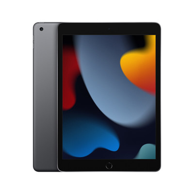 Apple iPad(第 9 代)10.2英寸平板电脑 2021年款(256GB WLAN版/A13芯片/iPadOS MK2N3CH/A) 深空灰色(不含票)