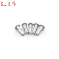 匡练304不锈钢平头实心铆钉Φ10*10-Φ10*100