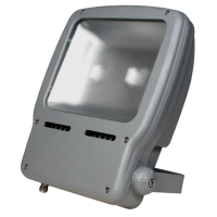 昂频AP5001-FG-100W泛光灯