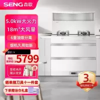 森歌(SENG)海豚系列L1集成灶 集成保洁消毒柜款 一体式吸烟机燃气灶具 家用抽油烟机燃气灶套装 天然气白色款