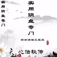 实用阴盘奇门预测调理完整版 周纳羽