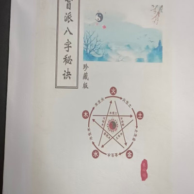 朱科顺 朱氏盲派八字秘笈318页