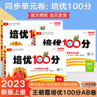 2023新版 王朝霞试卷培优100分小学单元AB卷一年级试卷测试卷全套上册二三四五六下册部编人教语文北师苏教数学英语单元