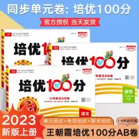 2023新版 王朝霞试卷培优100分小学单元AB卷一年级试卷测试卷全套上册二三四五六下册部编人教语文北师苏教数学英语单元