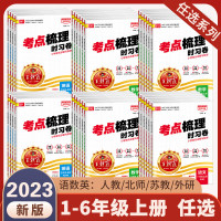 2023新版王朝霞考点梳理时习卷三年级四年级二年级一六五年级上册下册语文数学英语试卷期中末人教苏教北师版全套诊断测评练习