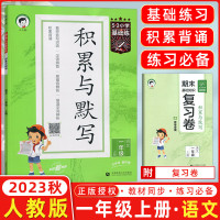 2024版小学语文积累与默写上册下册一1年级2二3四4三5五6六语文人教版部编小学通用版53小学基础练看拼音写词语汉语拼