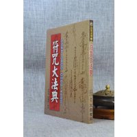 正版 大法典 诸葛绫 张樱馨 文国