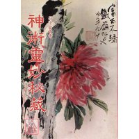 正版 神术灵妙秘藏 大山