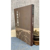 正版 太极拳法阐宗 王新午 逸文武术