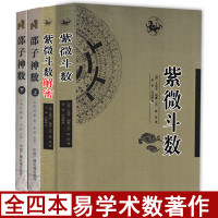 术数著作全套4册 紫微斗数解密 邵子神数上下全两册 陈抟邵雍著李祥点校白话注释 图解全书周易