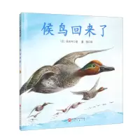 候鸟回来了(新版)