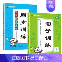 句子训练+生字组词 二年级上 [正版]新版小学二年级上册下册语文专项训练全套人教版看图说话写话阅读理解看拼音写词语生字组