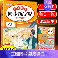 [语文]同步练字帖 五年级下 [正版]五年级下册语文同步练字帖人教版写好中国字小学每日一练小学生英语衡水体5下学期硬笔书