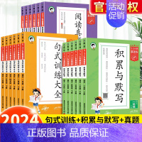 句式训练大全[下册] 小学三年级 [正版]2024新版积累与默写53小学基础练句式训练大全三年级下册一年级二年级四五六年