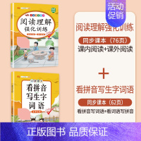 (2本)阅读理解+看拼音写生字词语 三年级下 [正版]同步人教版斗半匠小学语文专项训练一年级全套看拼音写词语二年级下册三