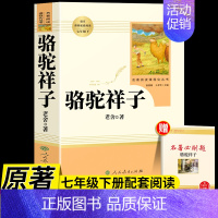 [人教版]骆驼祥子 [正版]骆驼祥子和海底两万里原着人教版人民教育出版社老舍国一下册必读的课外书初中生配套完整版七下阅读