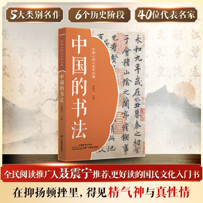 中国人的文化常识课 中国的书法 5大类名作6个历史阶段40位代表名家书法大家篆隶楷行草书科普及读物 中国书法史图文结合书