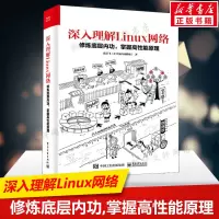 深入理解Linux网络 修炼底层内功,掌握高性能原理 网络开发读者开销运维人员性能优化理论指导Linux运维书 电子工业