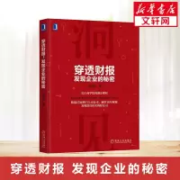 穿透财报,发现企业的秘密 上市公司财务报表分析从入门到精通教程书籍 财务会计管理书籍 财报分析 财务舞弊风险识别方法 I