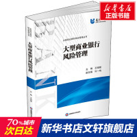 大型商业银行风险管理 正版书籍 西南财经大学出版社