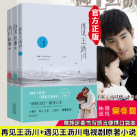 再见王沥川 沥川往事(上下)全3册 2018新版 赠3万字番外 高以翔焦俊艳电视剧原着施定柔小说 正版青春文学书籍书