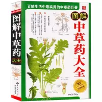 正版 图解中草药大全(精编全译彩图版) 图文结合简单易懂 图解中医保健养生世界历史文化国学社会科学居家休闲书籍