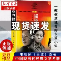 [官方正版]遥远的救世主 原著正版书未删减版 豆豆著正版小说 热播电视剧天道原著长篇小说现当代经典文学名著 天幕红尘