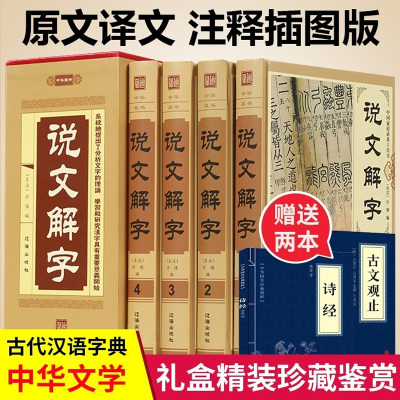 正版 说文解字(全套四册)中国汉字源流 中国古代古汉语常用词典辞典 说文解字段玉裁注 汉子的故事 画说汉字书