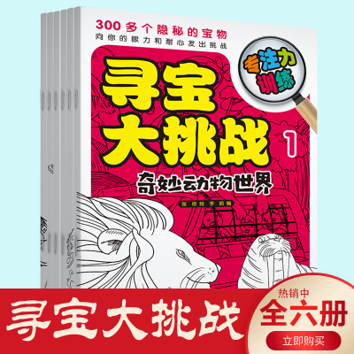 寻宝大挑战:专注力训练(全6册)六大主题寻宝 乐园考验你的耐心,训练你的观察力 专注力