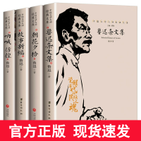 鲁迅作品集全4册鲁迅杂文集+故事新编+呐喊彷徨+朝花夕拾中国文学大师经典文库散文小说集热风而已集南腔北调集且介亭杂文书籍