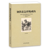 [全译本]正版 钢铁是怎样炼成的书正版 中文完整版 世界名着书籍 钢铁是怎样炼成的正版原着 钢铁是怎样炼成的初中正版区域
