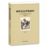 [全译本]正版 钢铁是怎样炼成的书正版 中文完整版 世界名着书籍 钢铁是怎样炼成的正版原着 钢铁是怎样炼成的初中正版区域