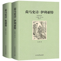 全译本无删减906页 荷马史诗奥德赛伊利亚特全套原版原著被称为希腊的“圣经”全集中文外国小说经典书籍非人民文学北方文艺出