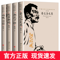 鲁迅作品全集4册 鲁迅杂文集+故事新编+呐喊 彷徨+朝花夕拾中国文学大师经典文库含热风华盖鲁迅而已集南腔北调集伪自由书且