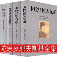 陀思妥耶夫斯基文集卡拉马佐夫兄弟 罪与罚 被欺凌与侮辱的人全集描写俄罗斯人民的书籍文学小说世界名着罪与罚(全译本)正版书