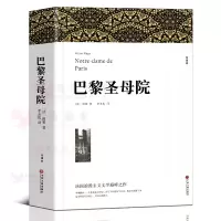 巴黎圣母院完整版无删减 李玉民译 全译本中文版 巴黎圣母院书正版雨果原著经典文学世界名著书籍 区域