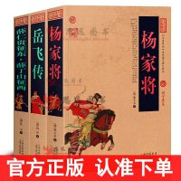 中国名将传记[套装3册]岳飞传+杨家将+薛仁贵征东薛丁山征西 带注释白话文正版国学经典书籍中国古典名著百部藏书岳飞传钱彩