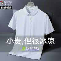 啄木鸟冰丝无痕翻领polo衫商务男士爸爸夏装休闲宽松防晒短袖t恤