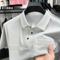 啄木鸟印花短袖t恤男士夏装大码冰丝父亲polo衫口袋款爸爸装上衣C