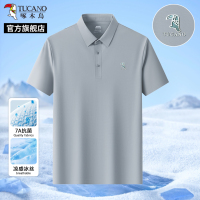 啄木鸟官方冰丝无痕2025新款男士短袖T恤夏季薄款中年爸爸polo衫C