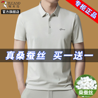 啄木鸟官方旗舰店桑蚕丝短袖t恤2025新款夏季爸爸冰丝polo衫男装