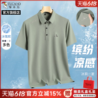 啄木鸟官方旗舰店爸爸短袖t恤男士2025新款夏季中老年冰丝polo衫